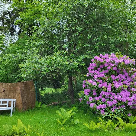 Apartment To Tutaj Schreiberhau