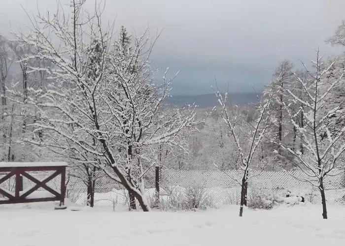 Apartment To Tutaj Schreiberhau