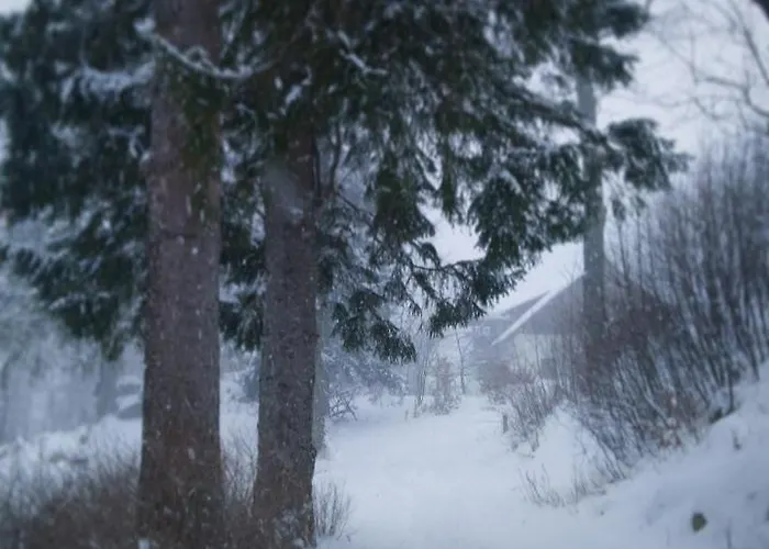 To Tutaj Schreiberhau