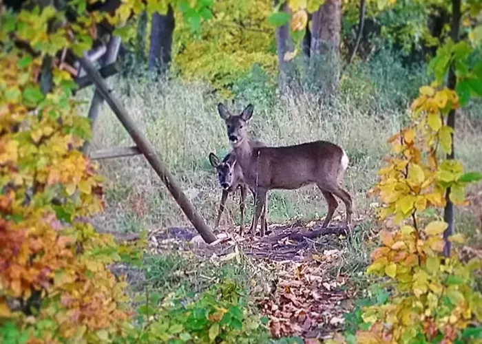 To Tutaj Apartment *